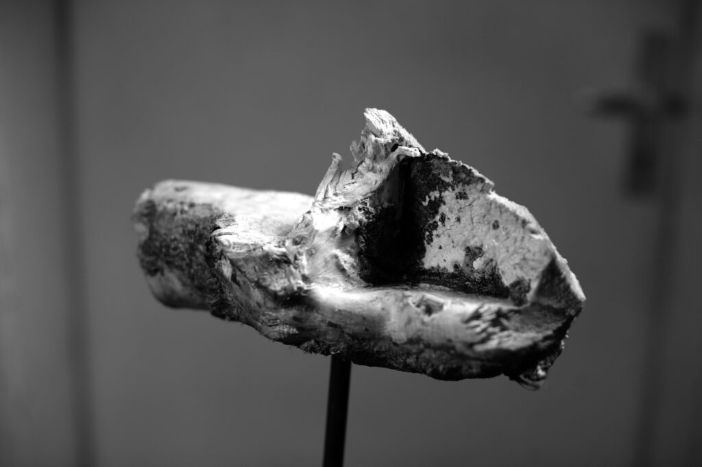 Sensationeller Kunstfund in der Provinz: Frank Weghardts bildhauerisches Werk lagerte jahrzehntelang im Lieberoser Schloss